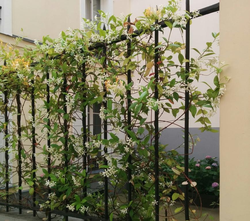 La Cour du 5ème - Chambre d'hôtes Parigi Esterno foto